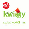 Memory - KWIATY POLNE